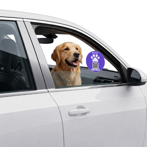 Pet Left Inside Vehicle